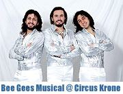„Massachusetts“ - Das Bee Gees-Musical am 06.05.2014 im Circus Krone (©Foto: Veranstalter)